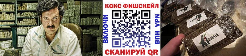 COCAIN Fish Scale Малаховка