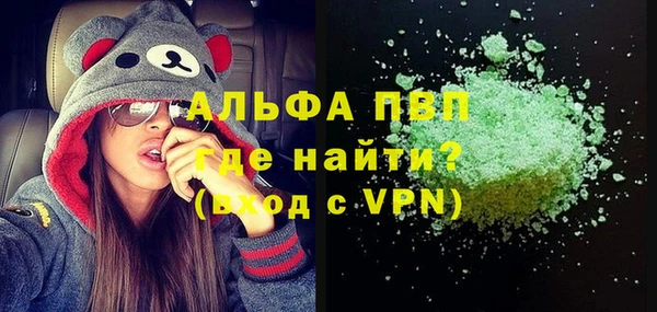 стафф Алексин