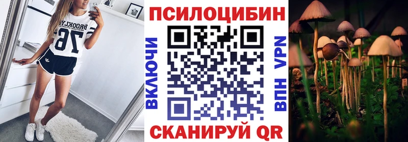 Псилоцибиновые грибы Magic Shrooms  закладки  Малаховка 